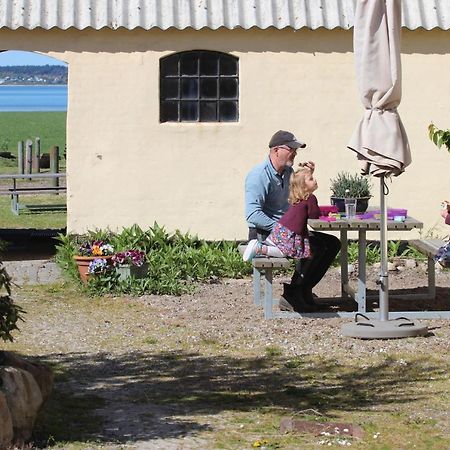 Stutteri Ahl Near Beach And Town Ebeltoft Buitenkant foto