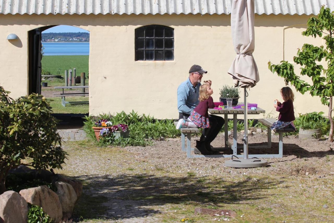 Stutteri Ahl Near Beach And Town Ebeltoft Buitenkant foto