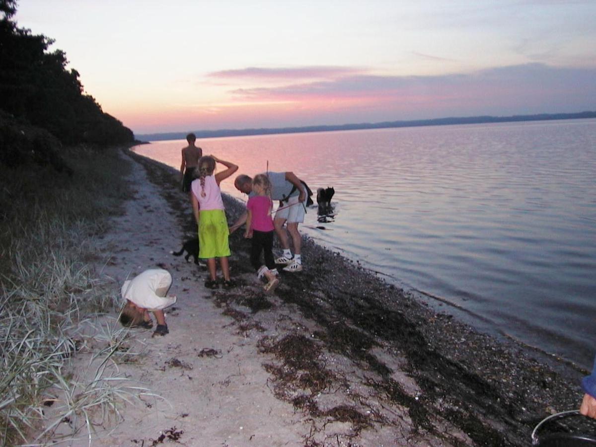 Stutteri Ahl Near Beach And Town Ebeltoft Buitenkant foto