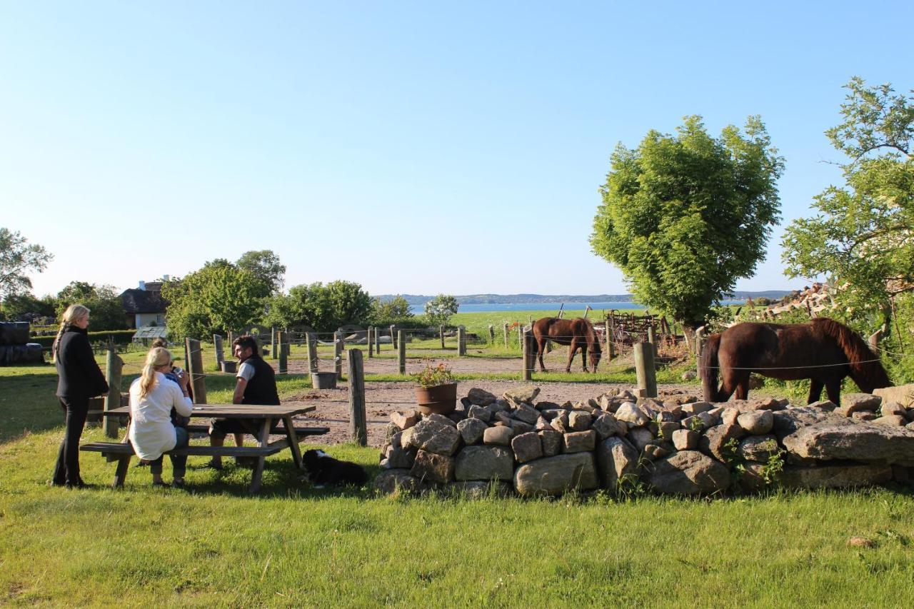Stutteri Ahl Near Beach And Town Ebeltoft Buitenkant foto