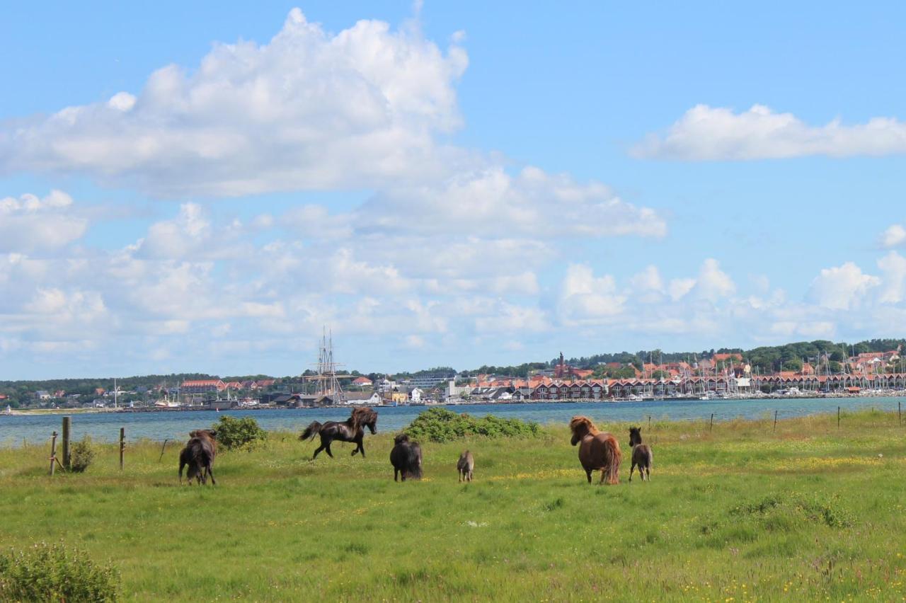 Stutteri Ahl Near Beach And Town Ebeltoft Buitenkant foto